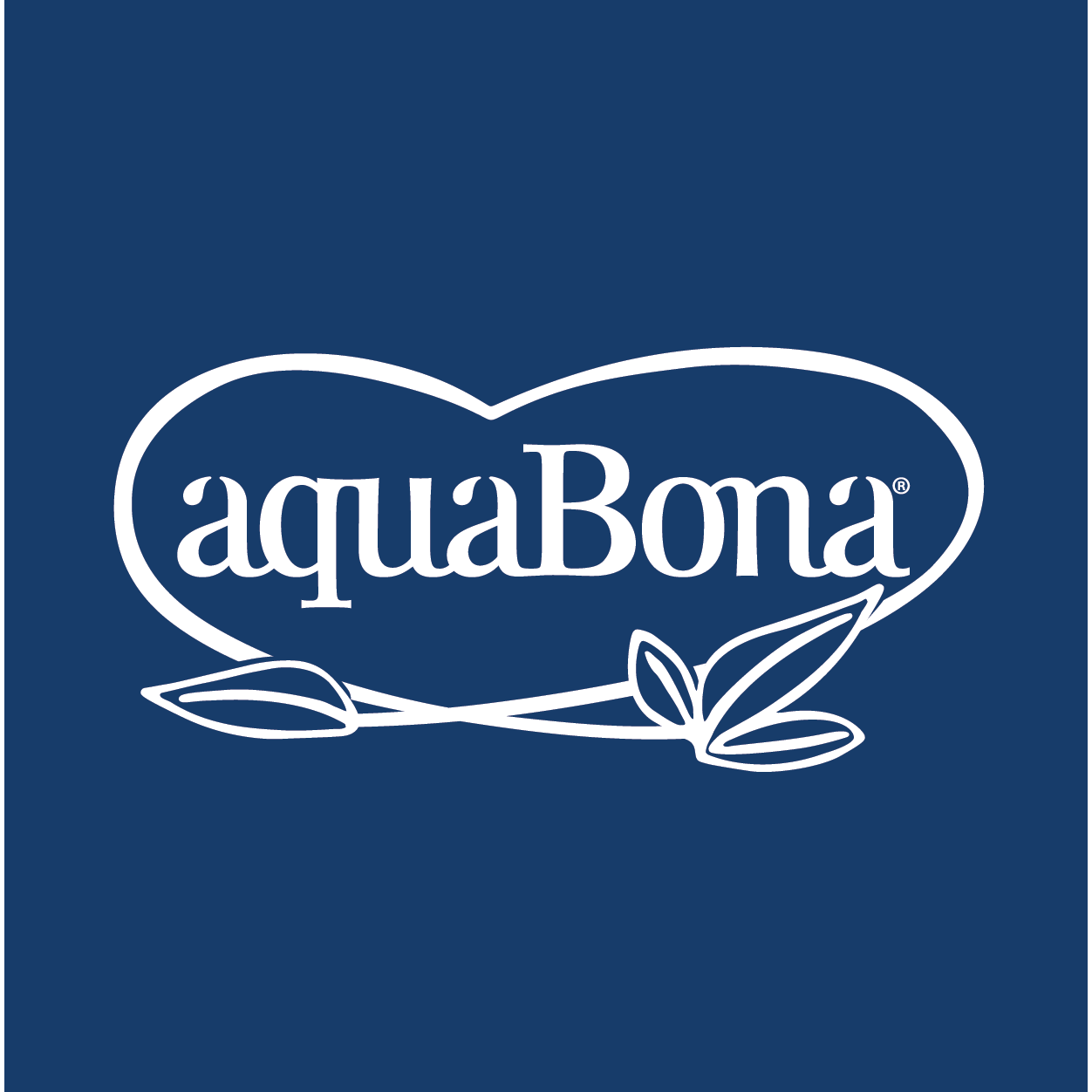 Productos Aquabona en dia.es