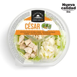 DIA VEGECAMPO ensalada César tarrina 210 gr