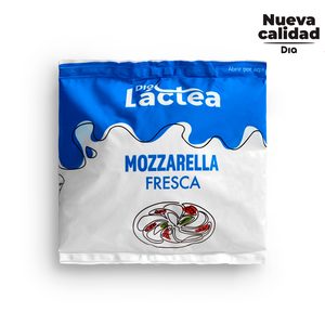 DIA LACTEA queso mozzarella fresca bolsa 125 gr